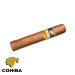 Charuto Cohiba robustos guarulhos